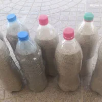 بذر|گل و گیاه طبیعی|کرمانشاه, |دیوار