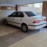 سمند خانگی بدون رنگ