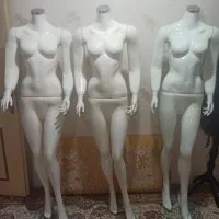 مانکن|فروشگاه و مغازه|سنندج, |دیوار