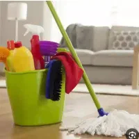 نظافتچی لوطین