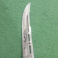 چاغو|کلکسیون و سرگرمی|آبدانان, |دیوار