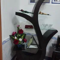 وسایل خانه ۲۰۰۰۰۰۰|بوفه، ویترین، کنسول|بناب, |دیوار