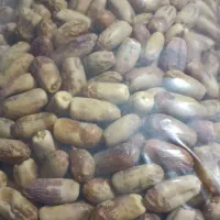 قصب زاهدی|خوردنی و آشامیدنی|شیراز, منطقه هوایی شهید دوران|دیوار