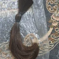 مو ی طبیعی