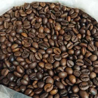 پخش انواع قهوه و پودریجات