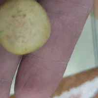 مهره جذب|بدلیجات|آبدانان, |دیوار