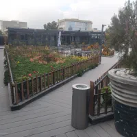 باریستا و ویتر و سالنکار