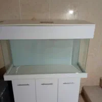 آکواریم شیشه خم