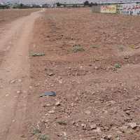 زمین 4000 متری جنب خانه پدری فروش یا معاوضه