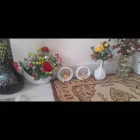 تعدادی گل و گلدان