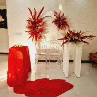 دکورهای یلدا کارتونی بزرگسال پرندرباط کریم شهریار|خدمات پذیرایی، مراسم|پرند, فاز ۲|دیوار