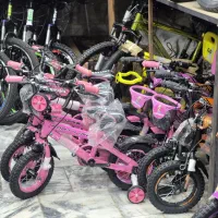 دوچرخه۱۲.۱۶پورت لاین