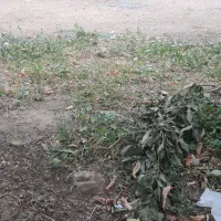 گوهردشت630متر-زمین-بلند-مرتبه-سازی-شهرک-کوثر