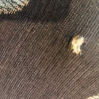 روفرشی دورو ۱۲متری|روفرشی|شیراز, ریاستی|دیوار