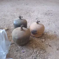 سه تا پیک نیک سالم تازه شیر ها را عوض کردم