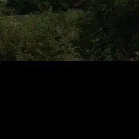 زمین 250متر باغسنگان با امتیاز آب دهنه ده متر|فروش زمین و ملک کلنگی|تربت جام, باغ سنگان سفلی|دیوار