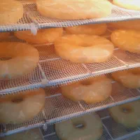 خشک کن میوه و کشک