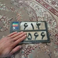 پلاک پیدا کردم