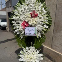 عرضه مستقیم تاج گل از بازار گل|گل و گیاه طبیعی|ری, شهید غیوری (ابن باویه)|دیوار