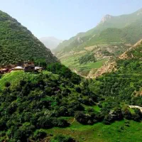 تور شمال / مازندران|تور و چارتر|شیراز, سینما سعدی|دیوار