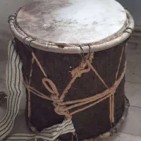 فروش دمام بوشهری پوست