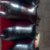 هیزه|مجسمه، تندیس، ماکت|اسلامآباد غرب, |دیوار