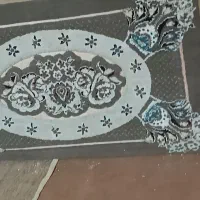 پشتی سالم