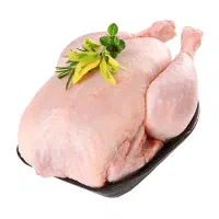 حراج حراج مرغ صبا فقط260 همه روزه دامداران گوشت