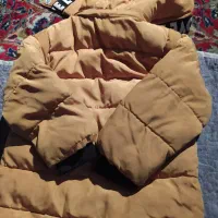 کاپشن درحدنو بچه گانه|لباس|شیراز, دباغ خانه|دیوار