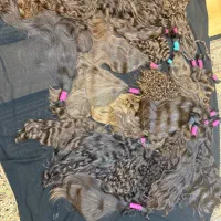 خریدار موهای سر خانومها هستیم