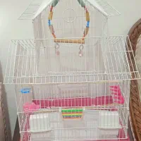 قفس بزرگ تازه طوطی عروس نو نو