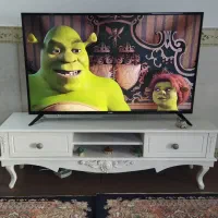 سینما تلوزیون ال ای دی 49 اینچ برند بلست درحدنو