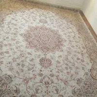 فرش و موکت فرش|فرش|مشهد, دانشجو|دیوار