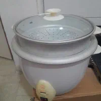 پلو پز و بخار پز و ارام پز 12نفره