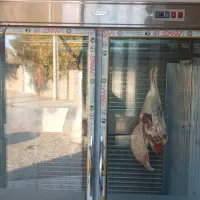 فروش یخچال قصابی درحدنو