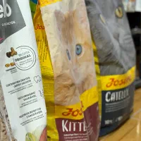 جوسرا،مونلو ،ونپی،رفلکس موجود در کوکوپت