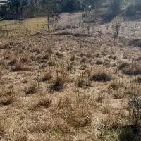 ۲۷۵ متر زمین از دو طرف چسبیده به مسکونی