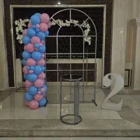 فروشگاه تشریفات وتعیین جنسیت و تولد (پارتی لند)