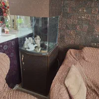 آکواریوم ۲۰۰ لیتری با تمام تحهیزات|ماهی|بندرعباس, |دیوار