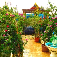 اجاره-سوییت-ویلا-نقلی-شیک