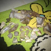عقیق جاسپر سنگ عقیق شجر|جواهرات|پردیس, فاز ۳|دیوار