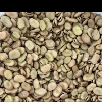باقله پزا