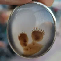 پلاک شجر مصور  و انگشتر شجر