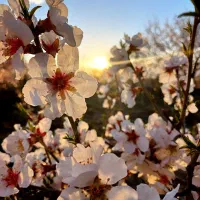 تدریس خصوصی