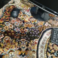 کامپیوتر|رایانه رومیزی|پاتاوه, |دیوار