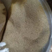 ب شرط درختی