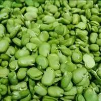 باقالی سبز و نخود فرنگی پاک شده