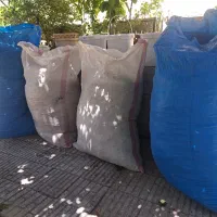 کاه خاکشیر