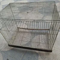 قفس پرنده|لوازم جانبی حیوانات|شیراز, شهرک سراج‎|دیوار