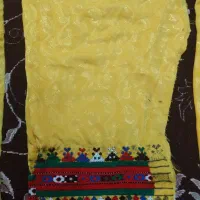 دمنی دوچ آماده وصل کردن قیمت خوب